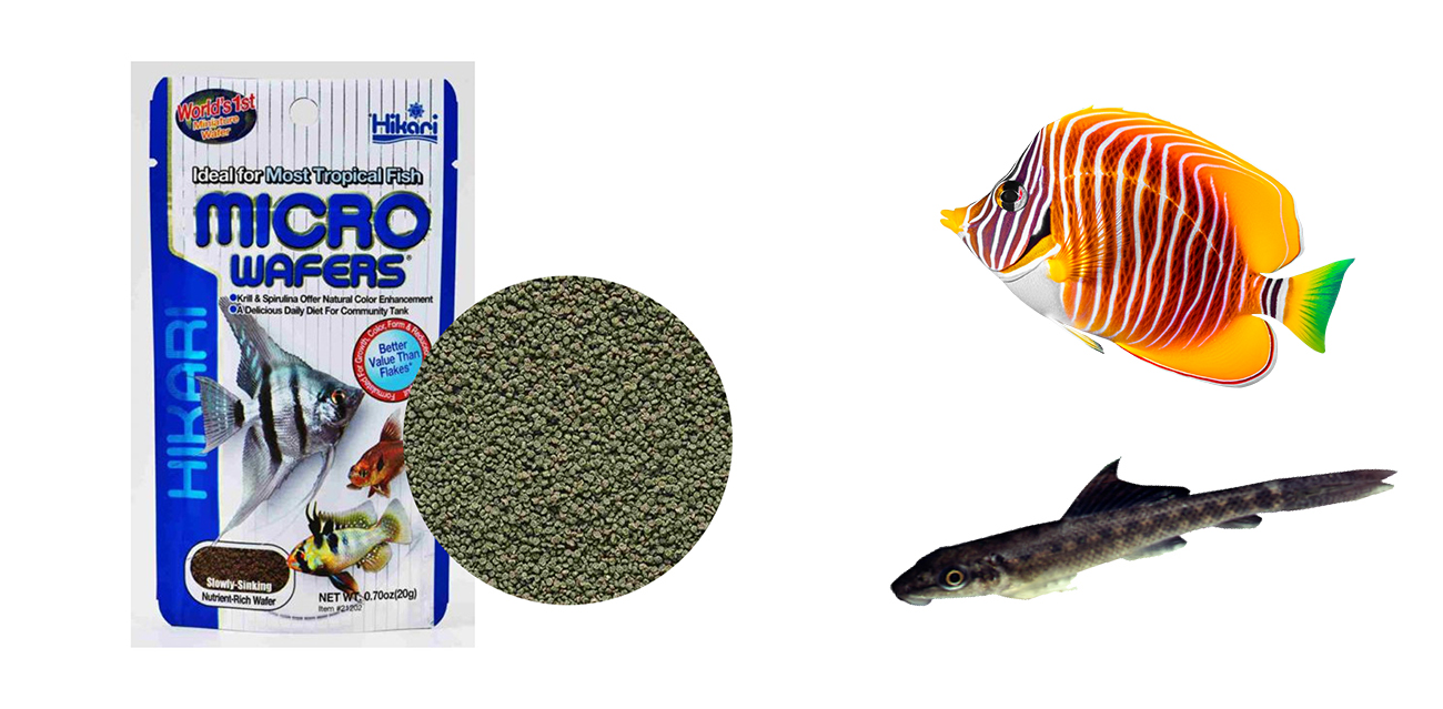 Hikari Micro Wafers - Pokarm w dyskach dla małych i średnich Ryb