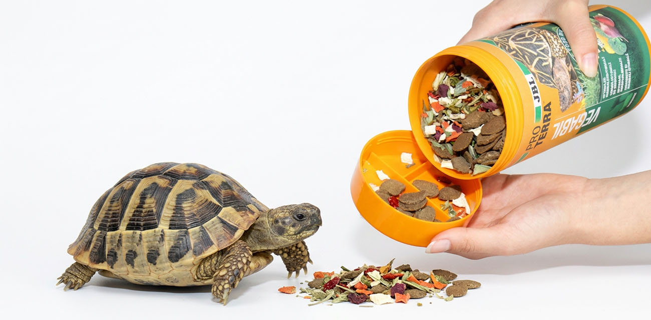 Naturalne warzywa i zdrowy rozwój pancerza