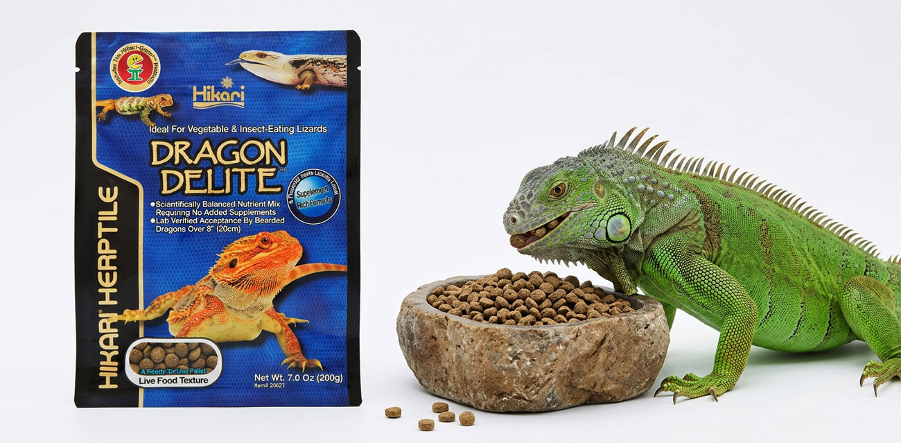 Hikari Dragon Delite – granulat dla jaszczurek wszystkożernych