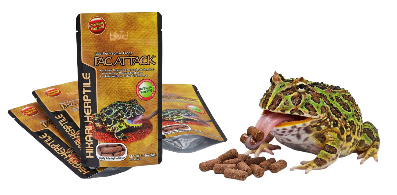 Hikari Reptile Pac Attack – pokarm dla żab rogatych