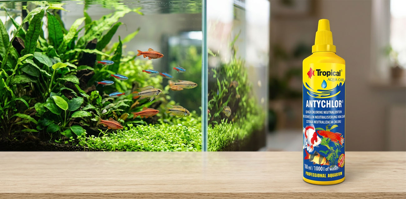 Antychlor – uzdatniacz wody do akwarium Tropical