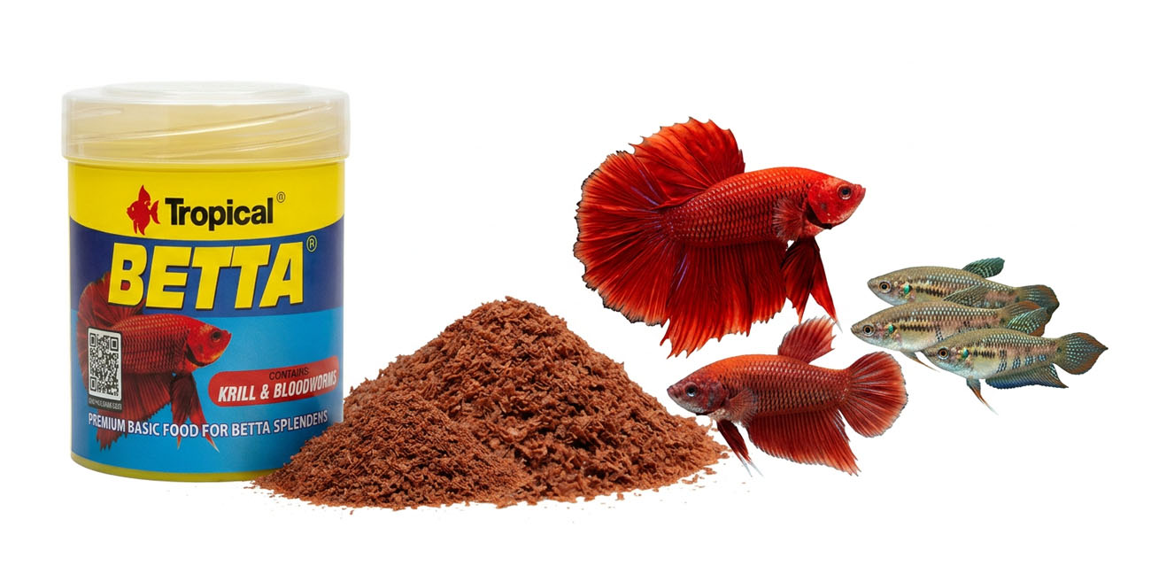 Tropical Betta – pokarm dla bojowników i ryb labiryntowych