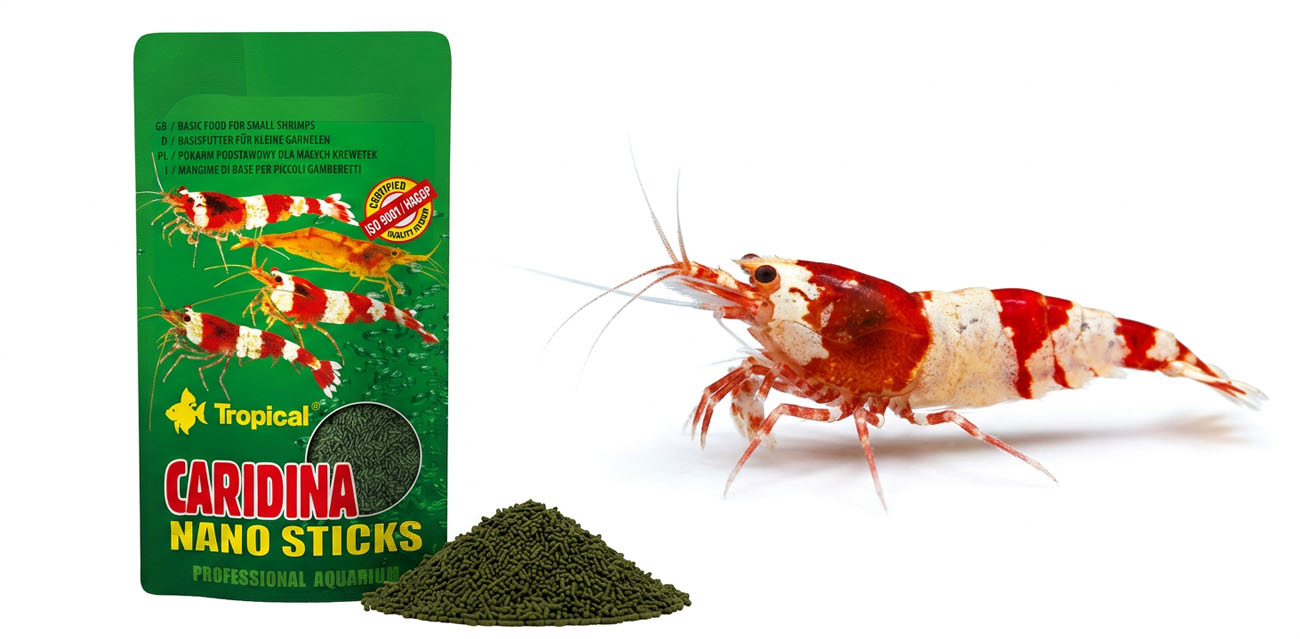 Tropical Caridina Nano Sticks – pokarm dla krewetek i skorupiaków