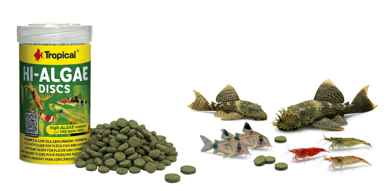 Tropical Hi-Algae Discs – pokarm z algami dla zbrojników i krewetek