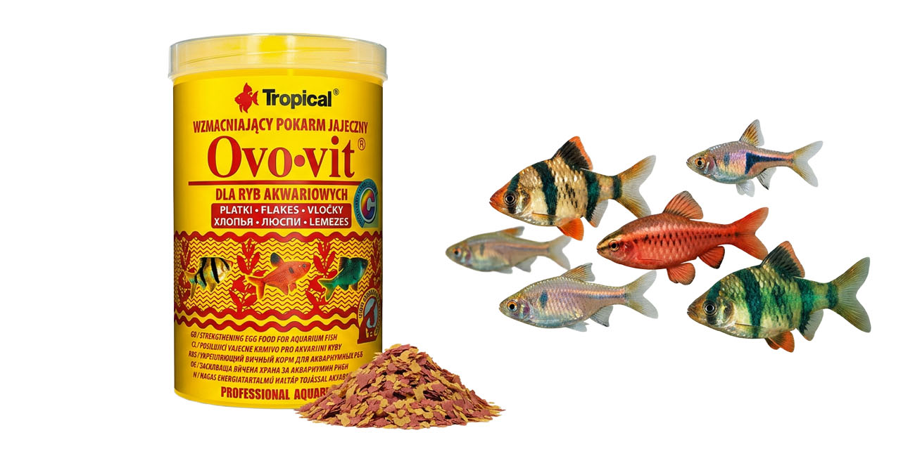 Tropical Ovo-Vit - pokarm wzmacniający dla ryb akwariowych