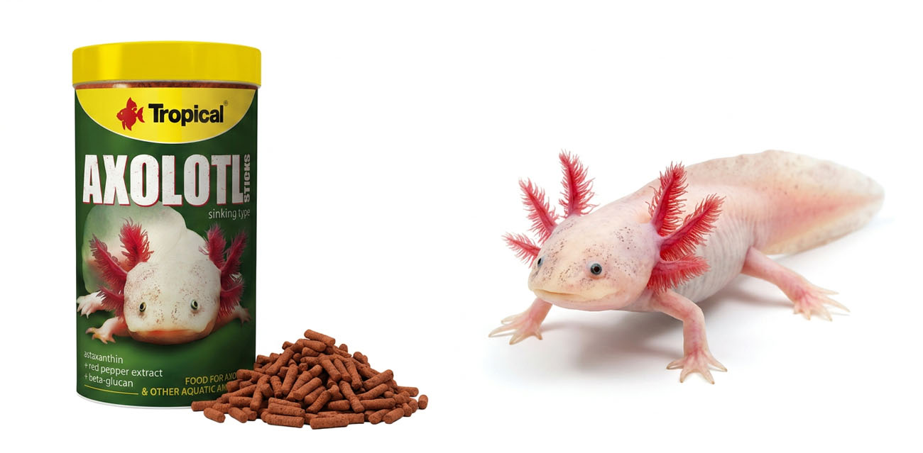 Tropical Axolotl Sticks - pokarm dla aksolotli i płazów wodnych
