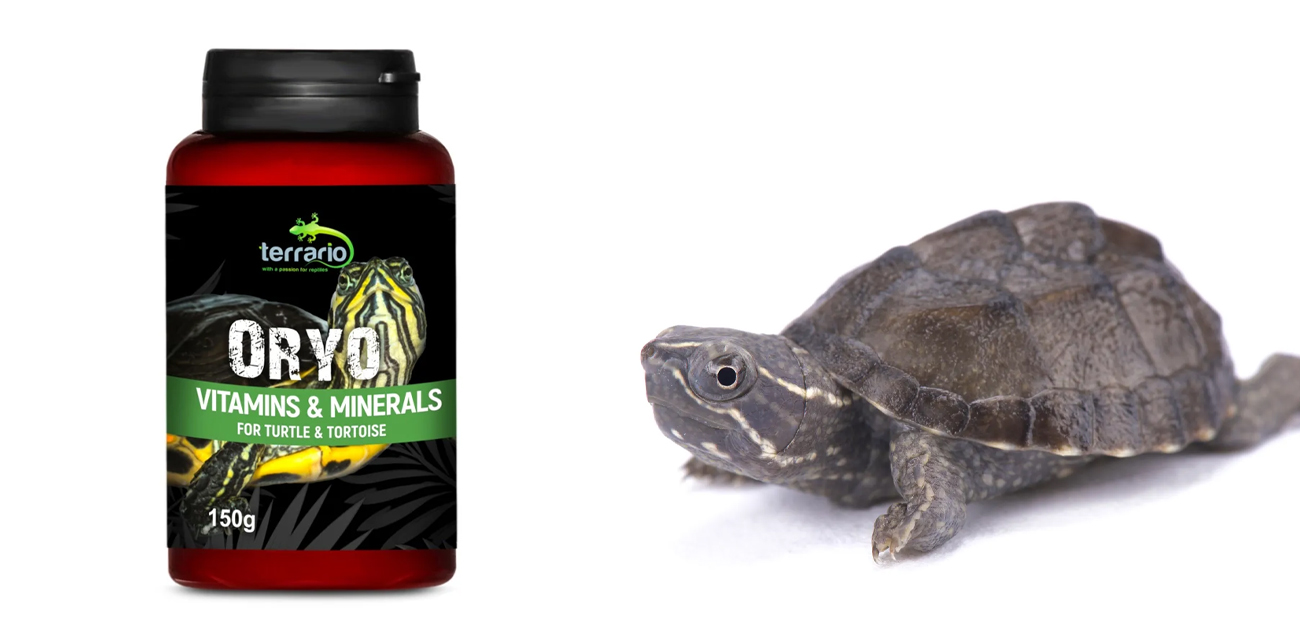 Terrario ORYO for Turtles & Tortoise (150g) - kompletne witaminy dla żółwi