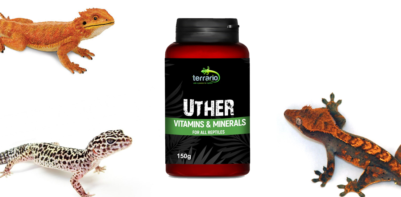 Terrario UTHER for Reptiles (150g) - kompletne witaminy dla gadów i płazów