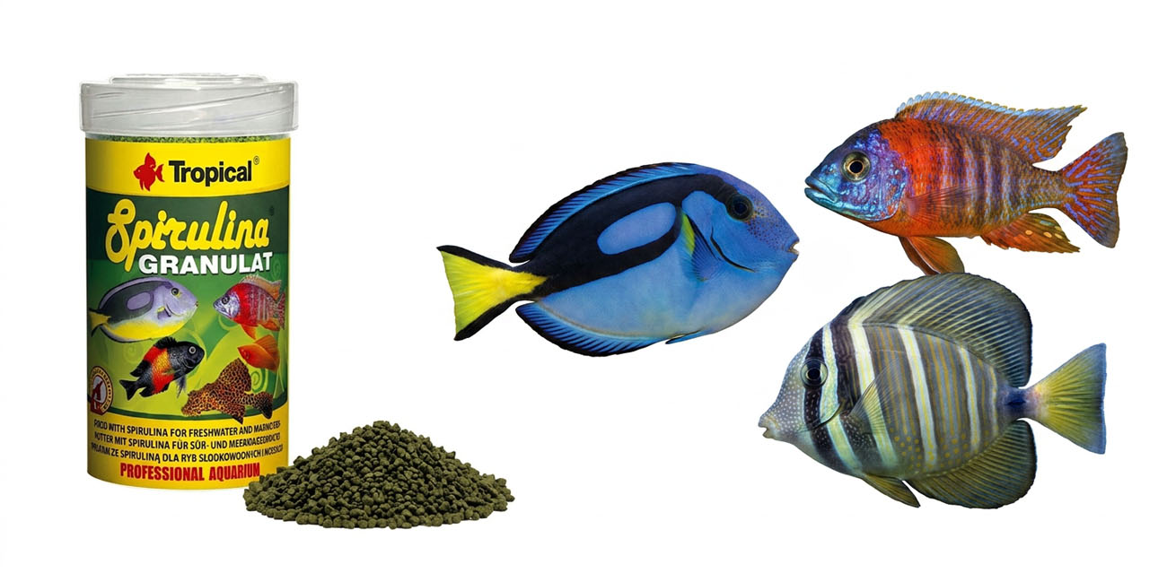 TROPICAL Spirulina Granulat - pokarm dla ryb