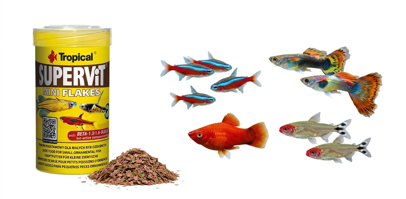 TROPICAL Supervit Mini Flakes - pokarm podstawowy dla małych ryb ozdobnych