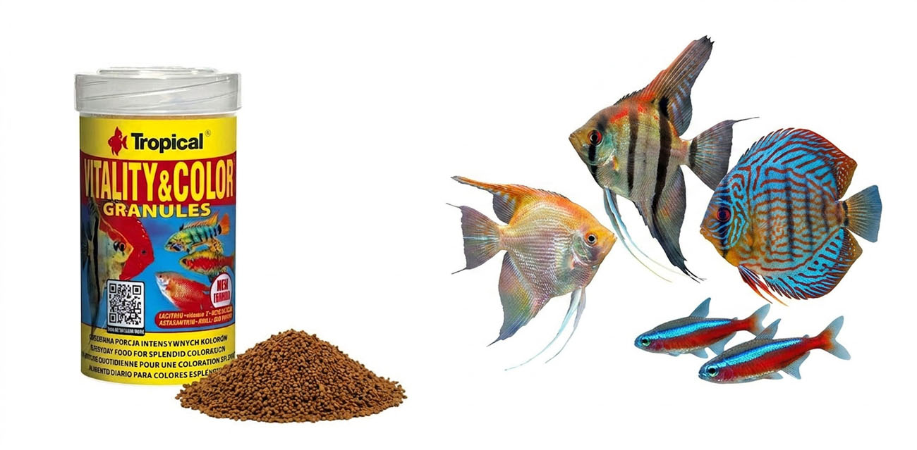 TROPICAL Vitality & Color Granules - pokarm wybarwiający dla ryb akwariowych