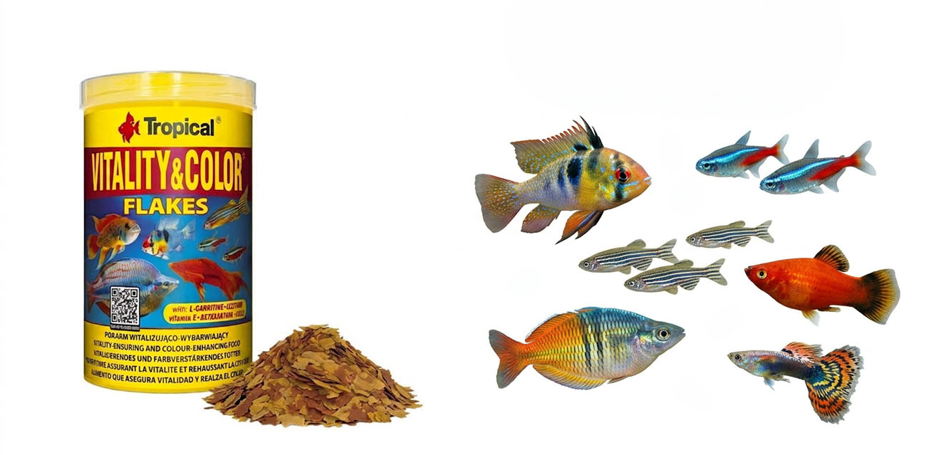 TROPICAL Vitality & Colour Flakes - pokarm wybarwiający dla ryb akwariowych