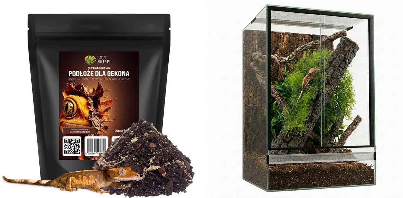 Podłoże New Caledonia – naturalna baza aranżacji