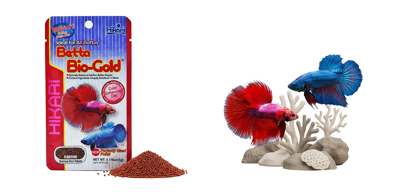 HIKARI Betta Bio-Gold - pokarm dla bojowników