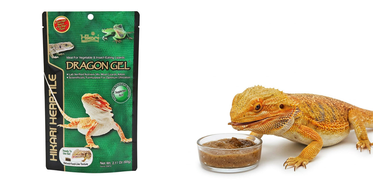 HIKARI Dragon Gel - pokarm dla Agamy Brodatej
