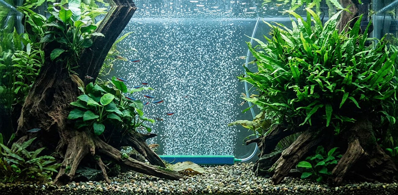 Kamień napowietrzający Listwa Aqua Nova