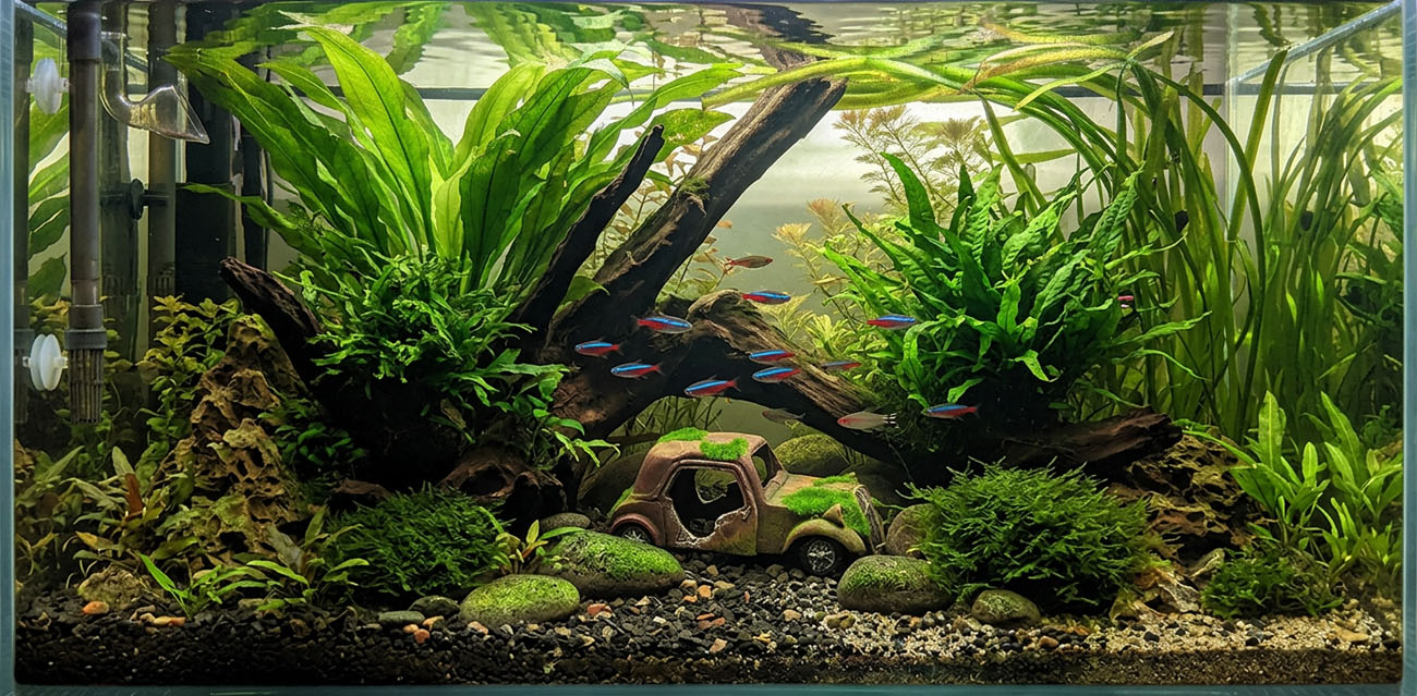 Oryginalna dekoracja do akwarium, terrarium i paludarium