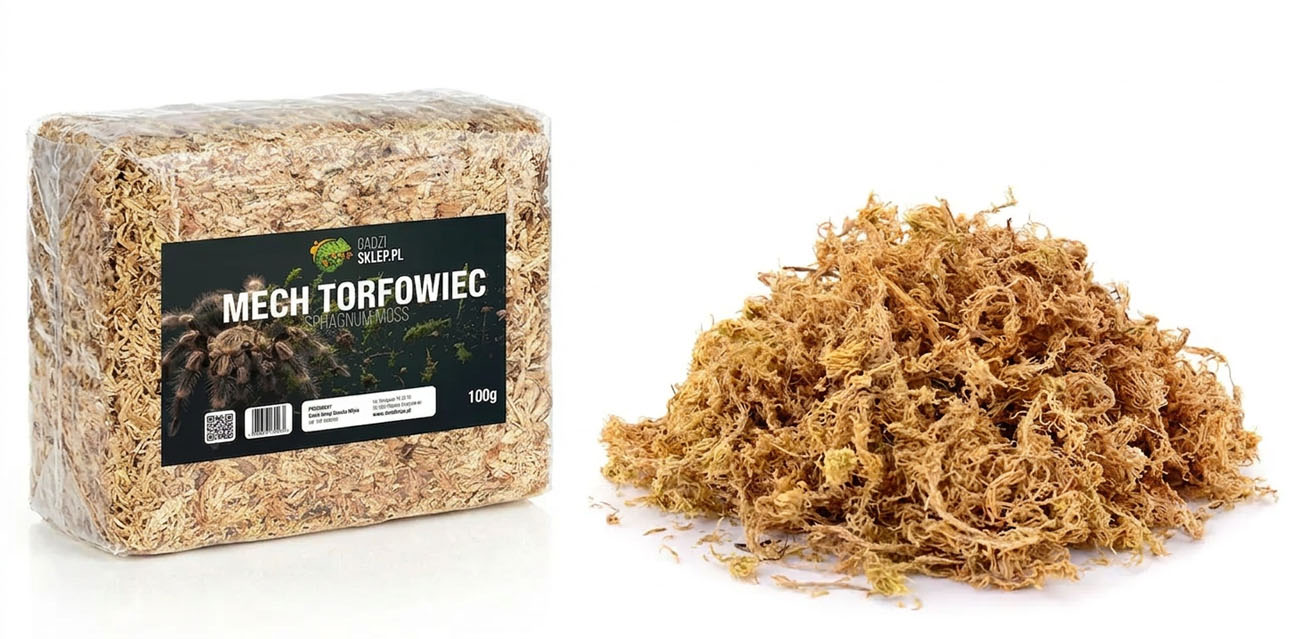 Mech torfowiec - Sphagnum Moss 100g