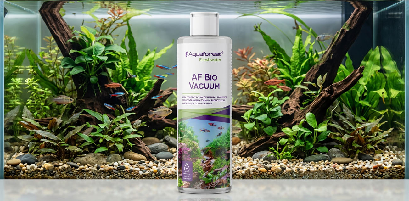 Wsparcie biologii akwarium