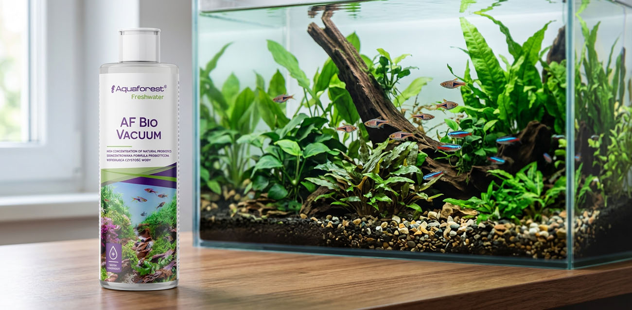 Aquaforest Bio Vacuum 500 ml - bakterie do akwarium