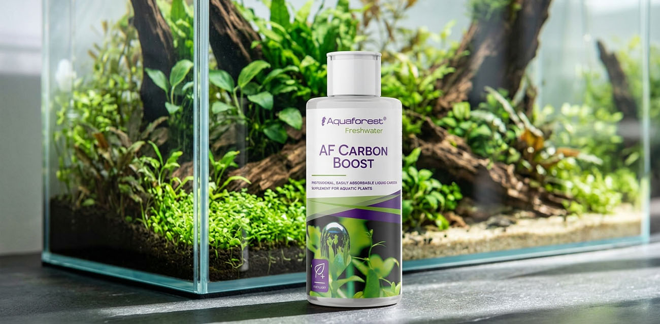 Aquaforest Carbon Boost - płynny węgiel do akwarium