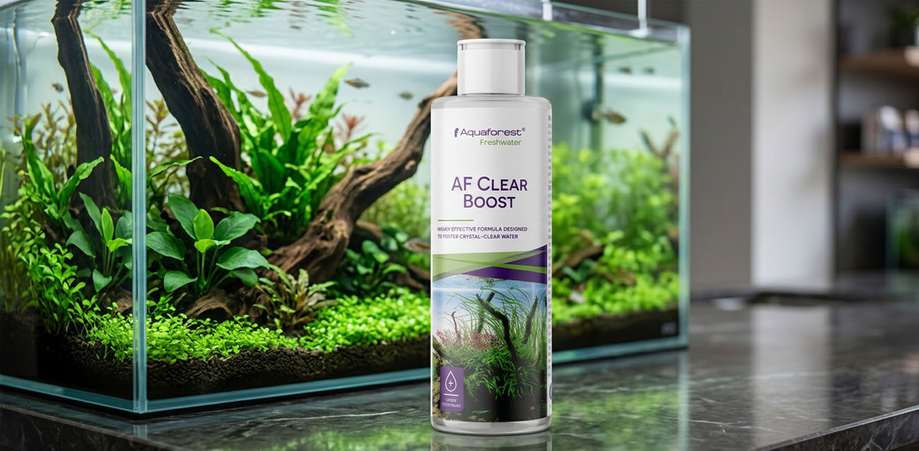 Aquaforest Clear Boost - preparat do klarowania wody w akwarium