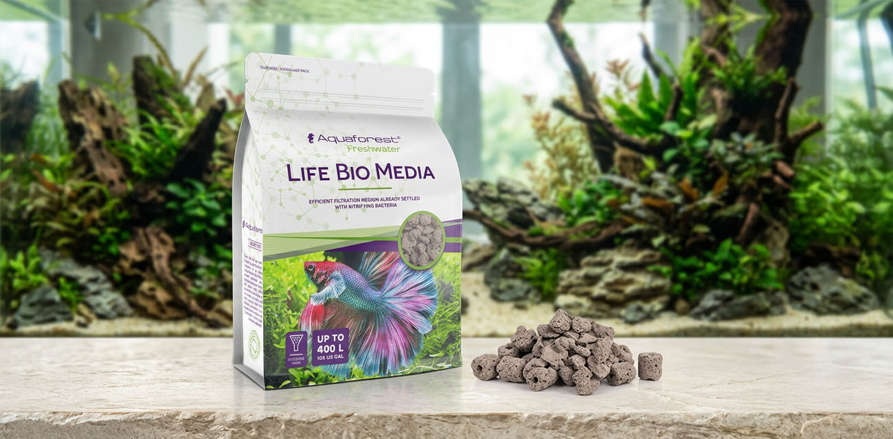 Biologiczna filtracja wspierana przez bakterie