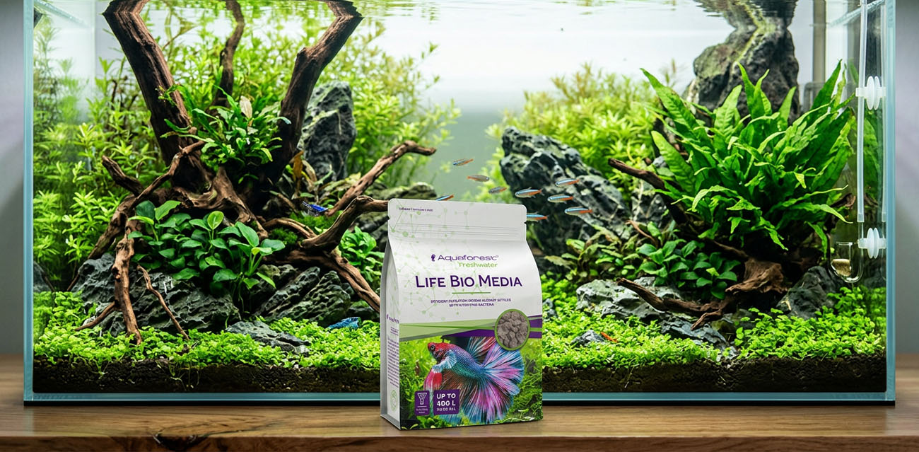 Aquaforest Life Bio Media 1L - biologiczne medium filtracyjne do akwarium