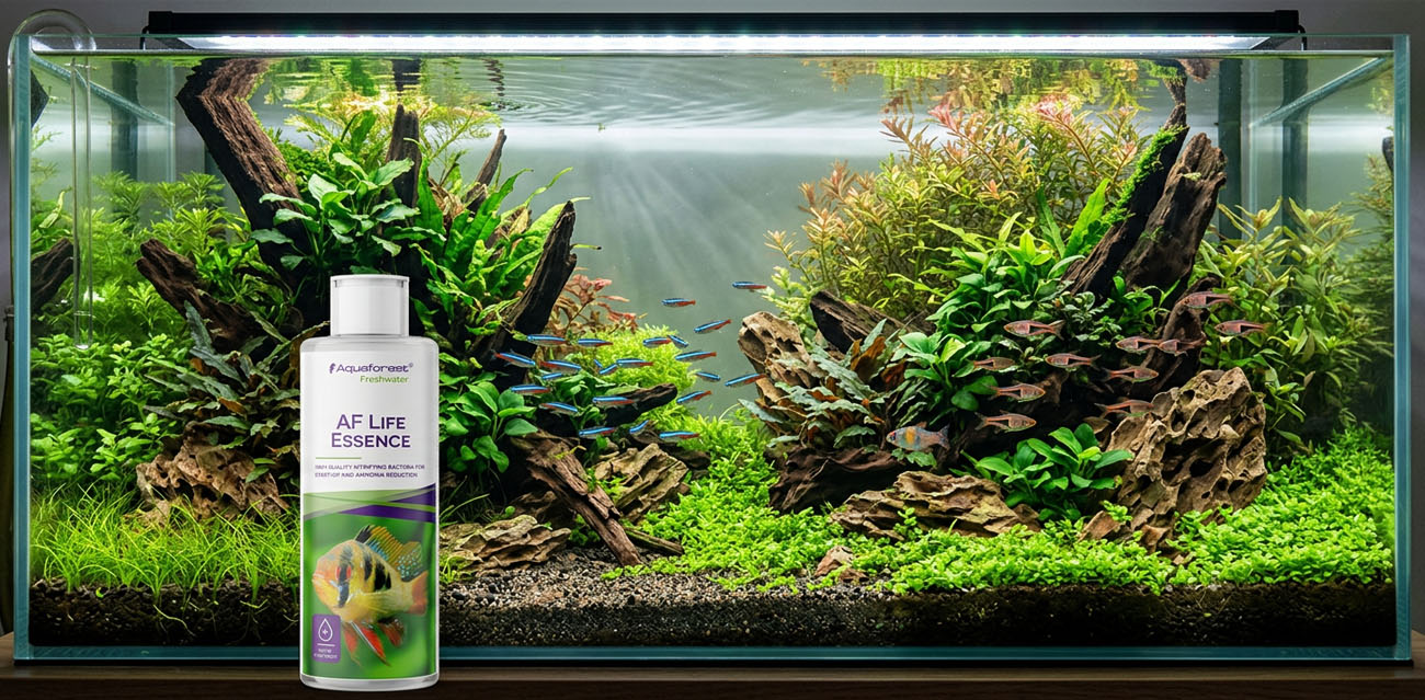 Aquaforest Life Essence - bakterie nitryfikacyjne do akwarium