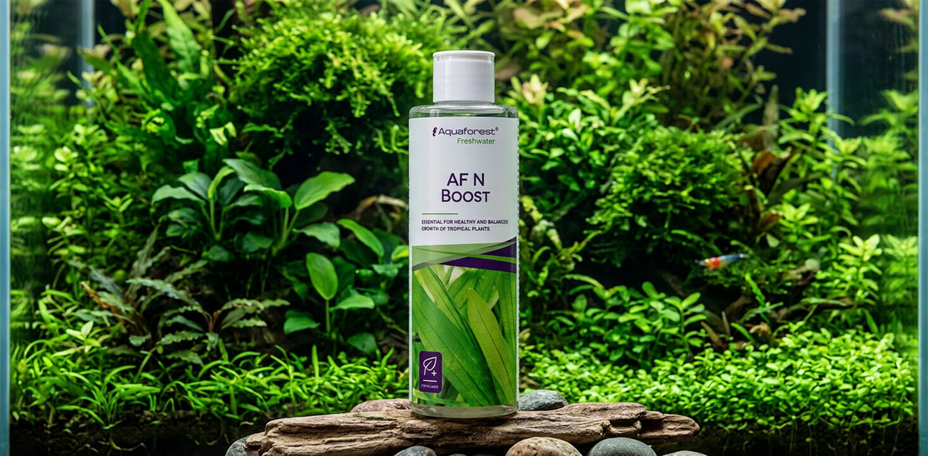 Aquaforest N Boost - nawóz azotowy do akwarium