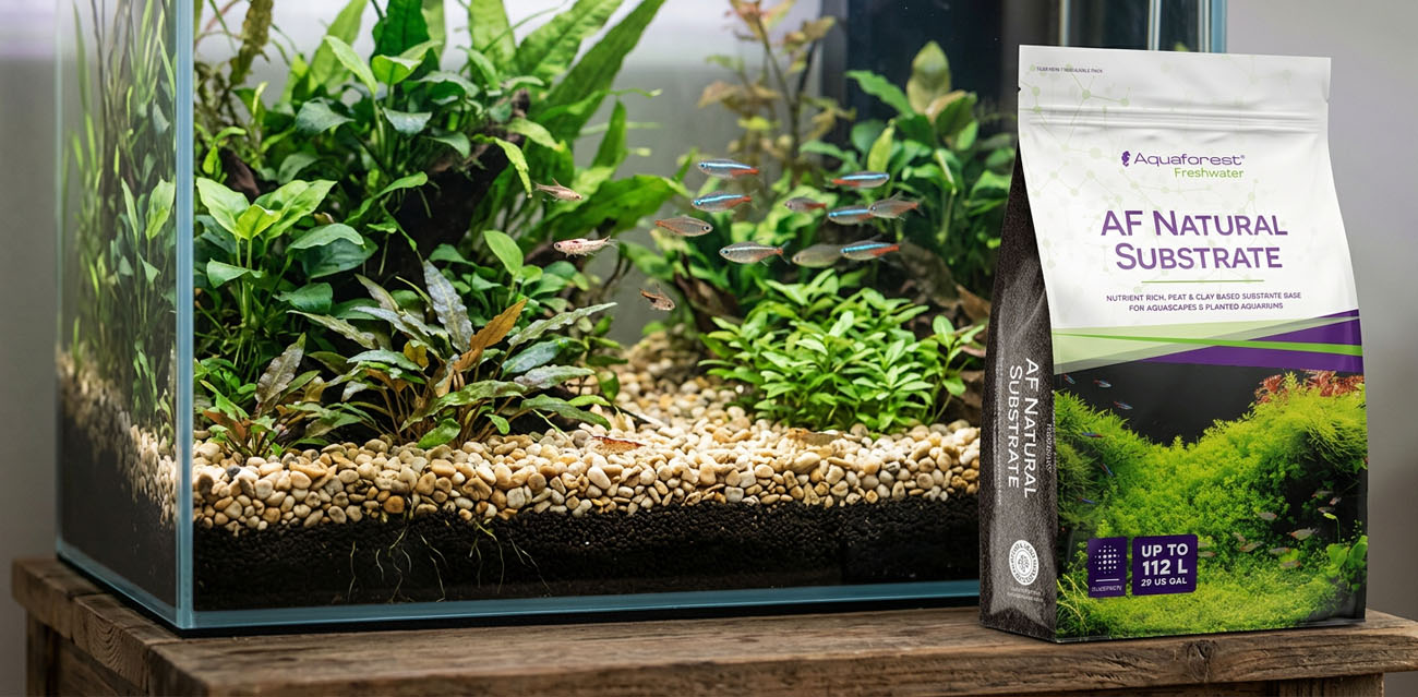 Aquaforest Natural Substrate 7,5 L - substrat pod podłoże do akwarium