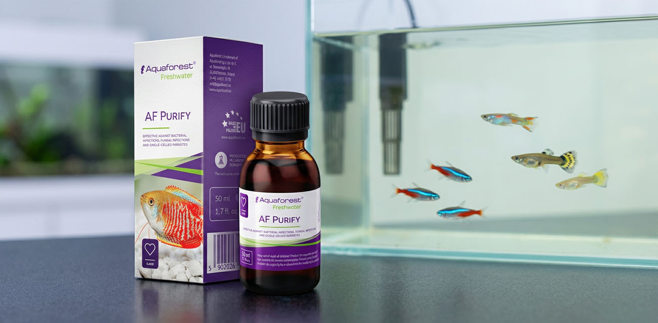 Aquaforest Purify - preparat na ospę rybią do akwarium