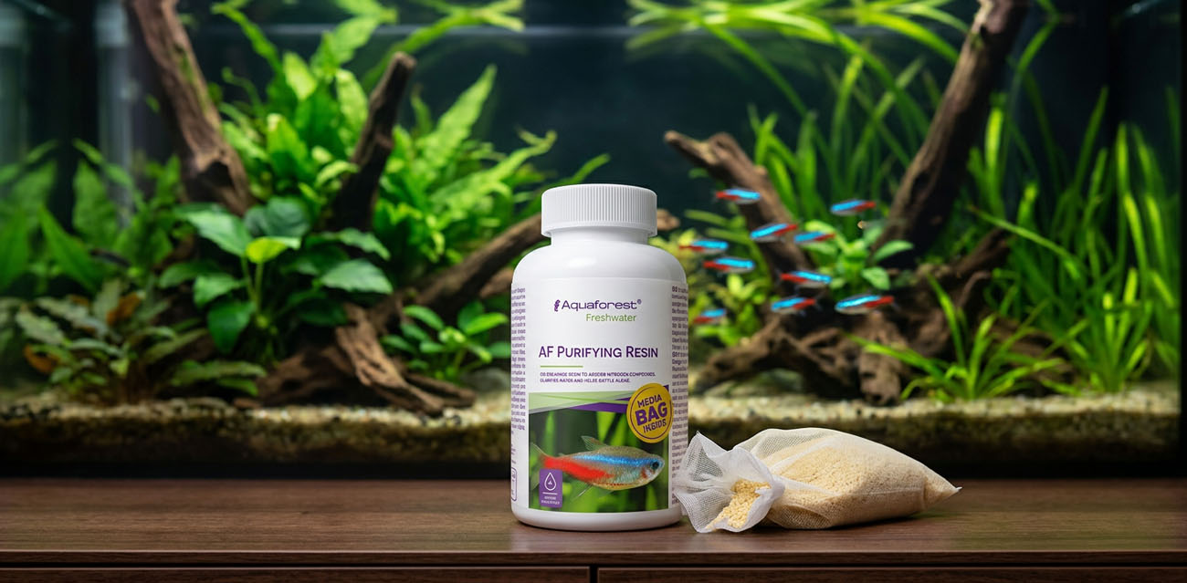 Aquaforest Purifying Resin - żywica na azotany do akwarium