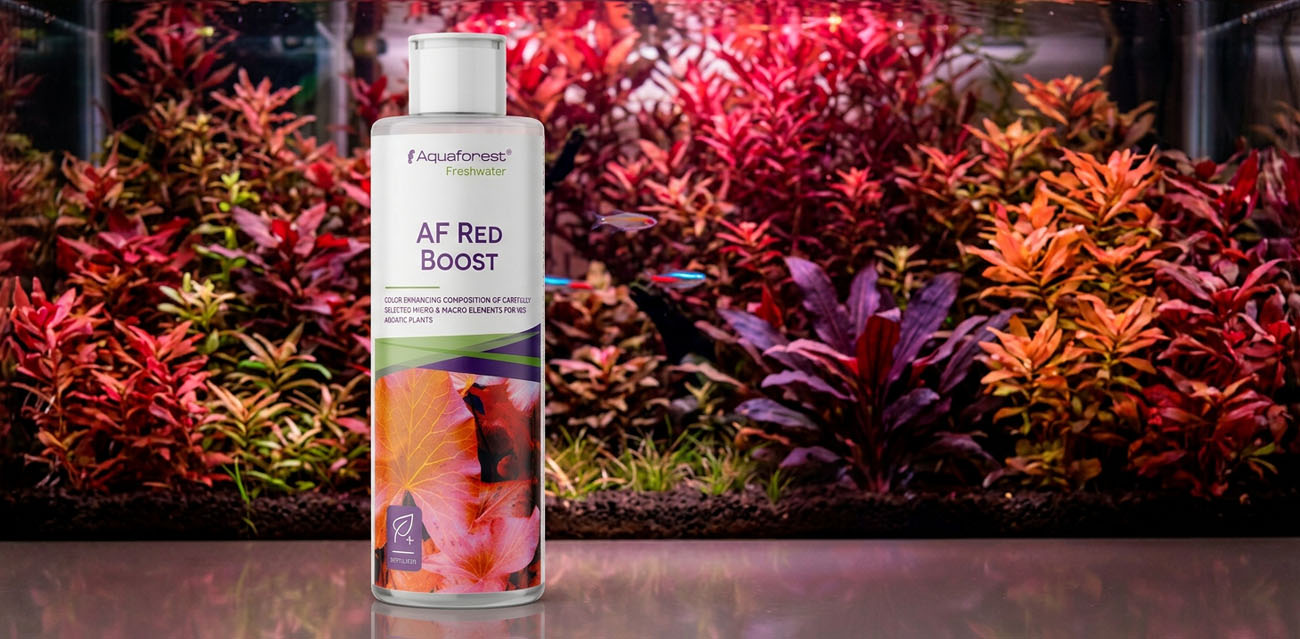 Aquaforest Red Boost - nawóz do czerwonych roślin akwariowych