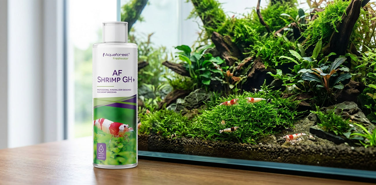 Aquaforest Shrimp GH+ - mineralizator wody RO dla krewetek