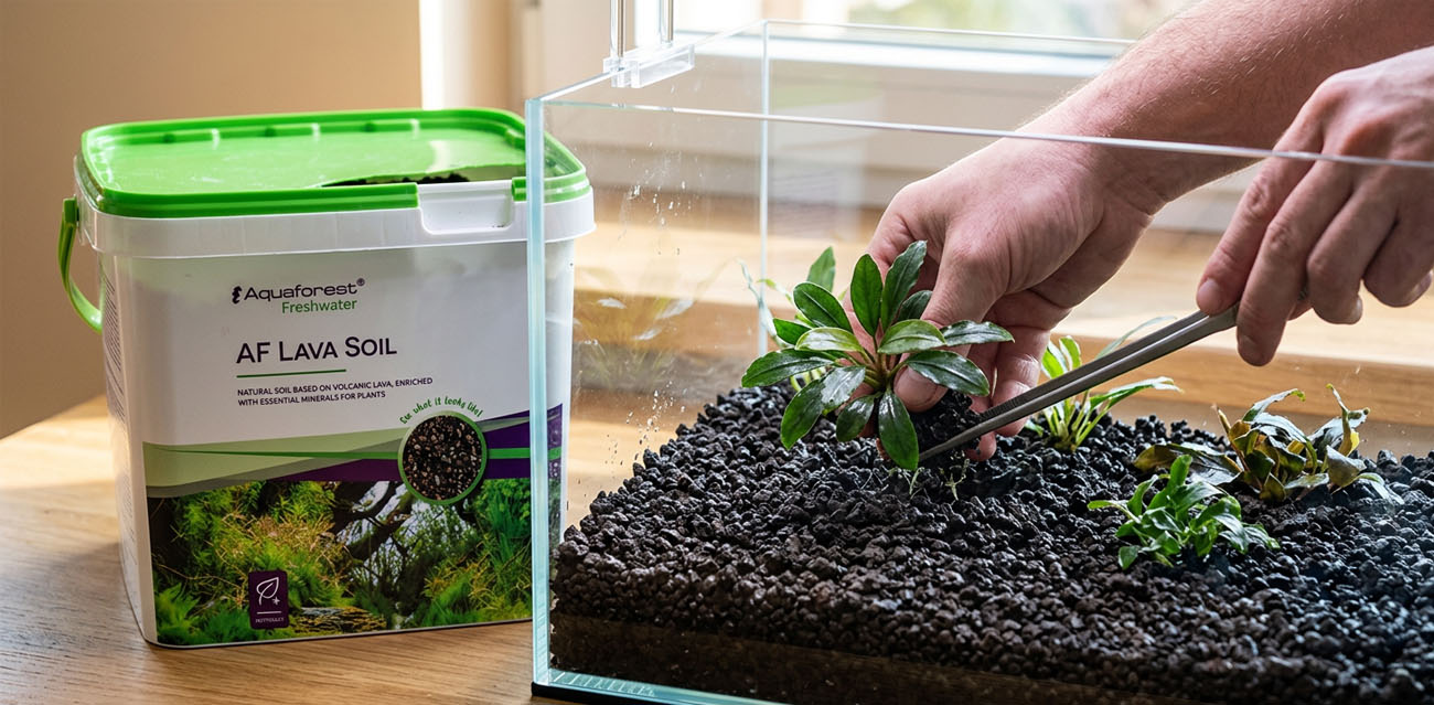 Aquaforest Lava Soil 5L - podłoże z lawy wulkanicznej do akwarium