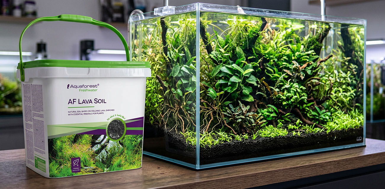 Aquaforest Lava Soil Black 5L - czarne podłoże aktywne do akwarium
