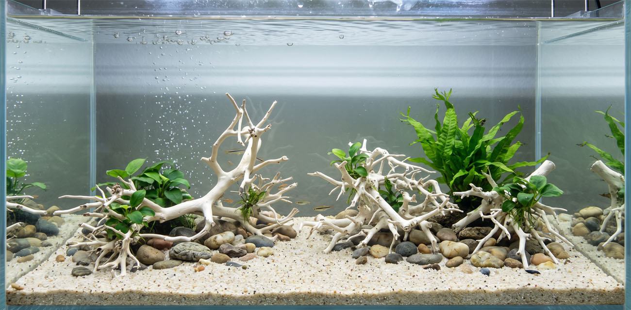 Korzeń do akwarium i terrarium Coral Tree Wood