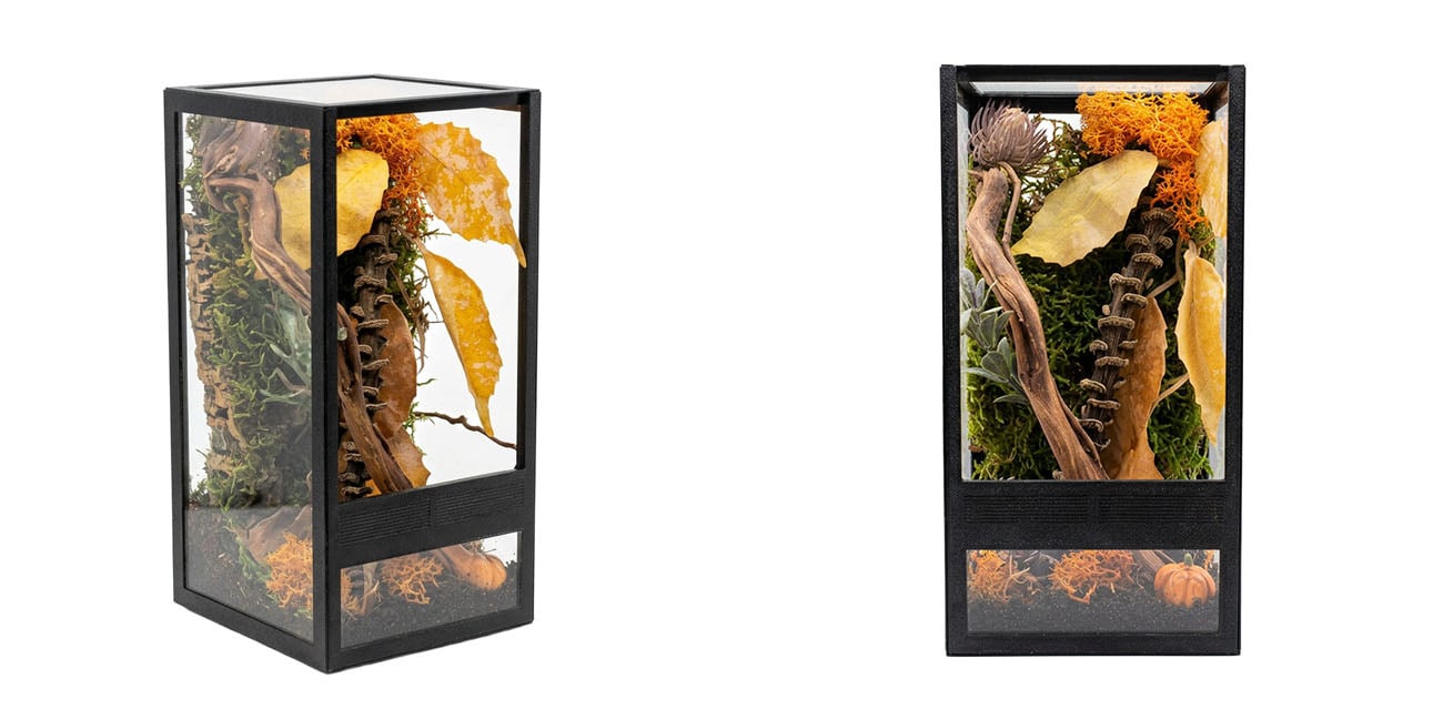 Jesienny Zestaw terrarium szklane 10x10x20cm z ramkami