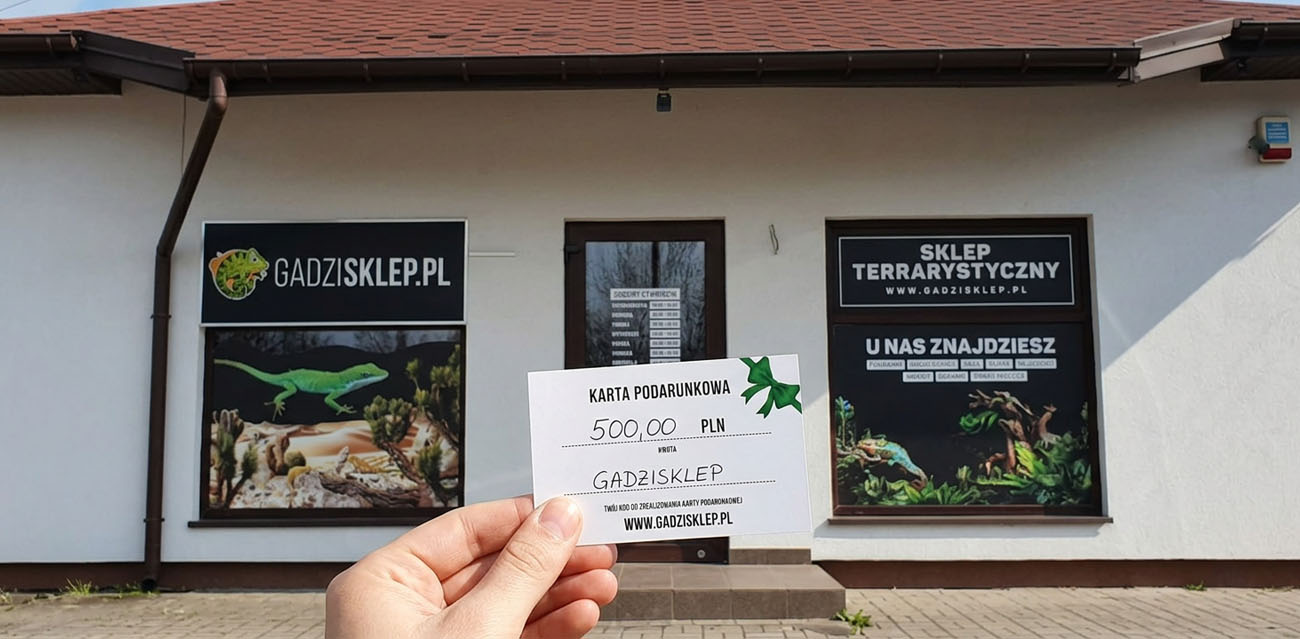 Jak zamówić kartę PDF?