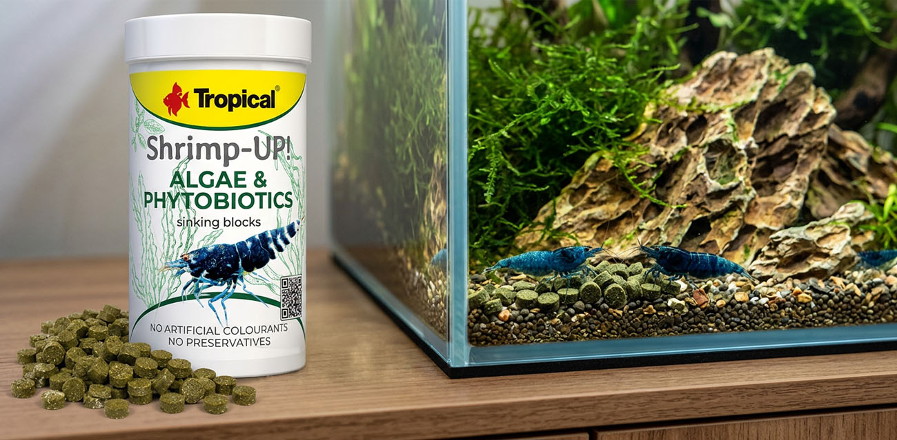 Najważniejsze zalety Tropical Shrimp-UP! Algae & Phytobiotics