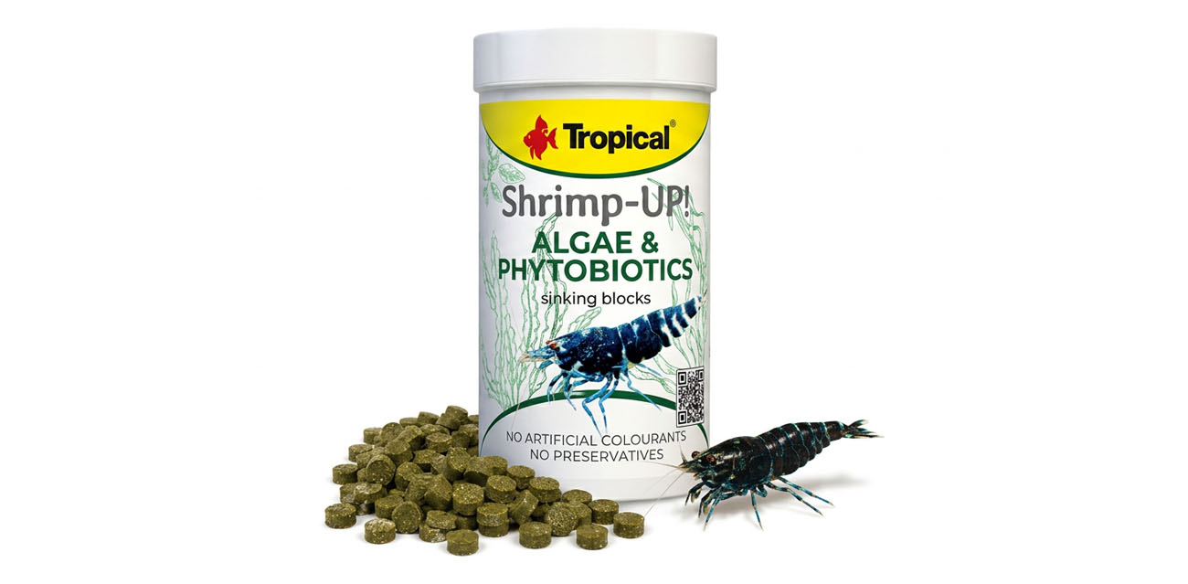 TROPICAL Shrimp-UP! Algae & Phytobiotics - Pokarm dla krewetek słodkowodnych