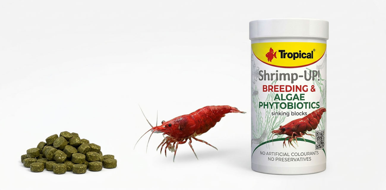 TROPICAL Shrimp-UP! Breeding & Colour - Pokarm dla krewetek słodkowodnych