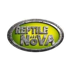 Reptile Nova