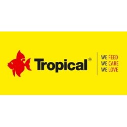 Tropical