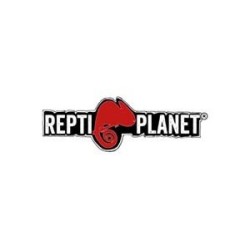 Repti Planet
